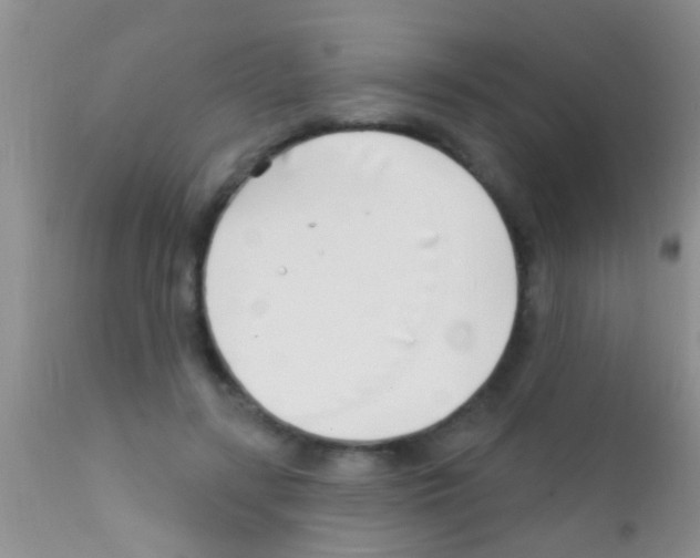 X0000111890547200909031907