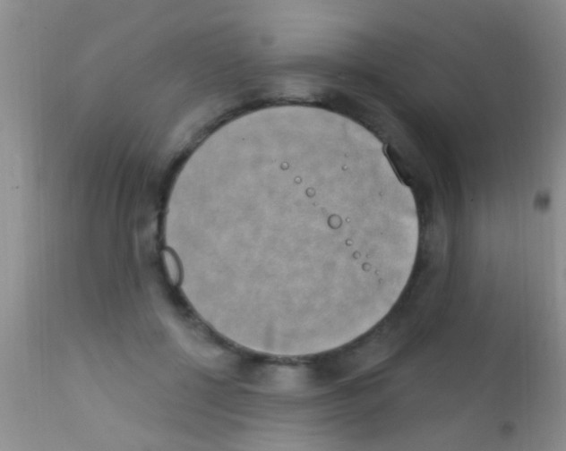 X0000111890552200909031907