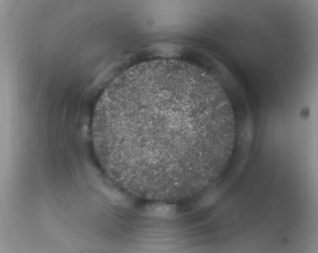 X0000111890553200909031907