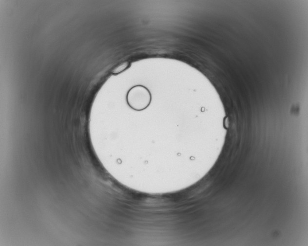 X0000111890556200909031907