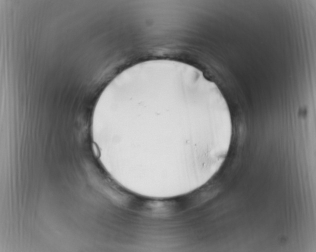 X0000111890558200909031907