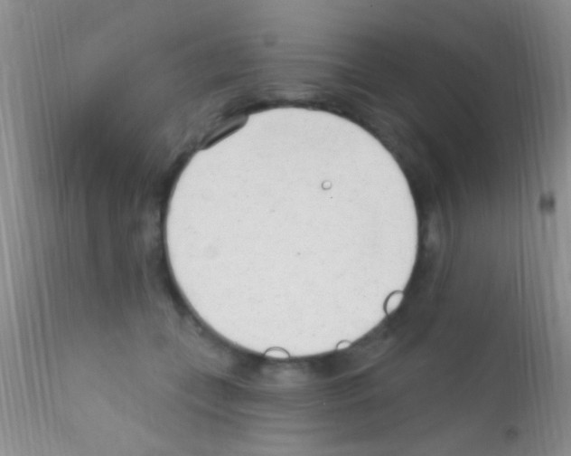 X0000111890559200909031907