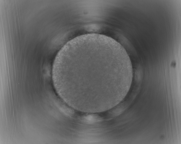 X0000111890561200909031907