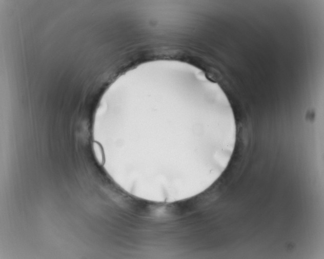 X0000111890564200909031907