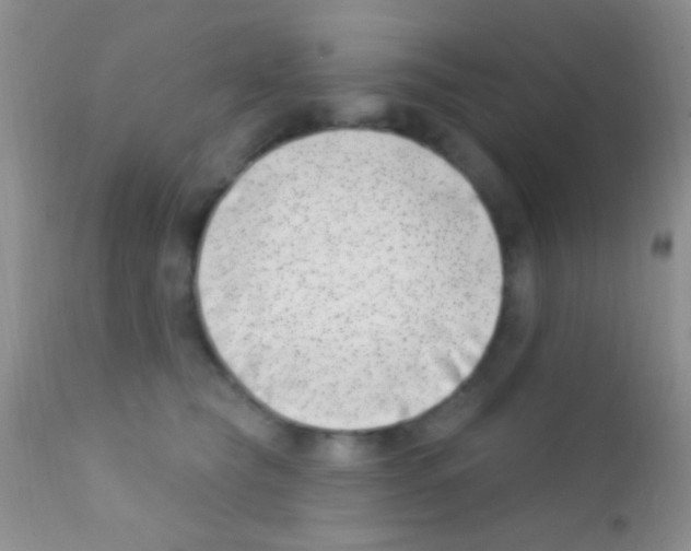 X0000111890565200909031907