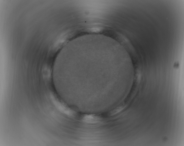 X0000111890568200909031907