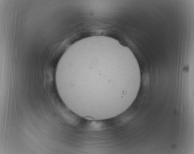 X0000111890570200909031907