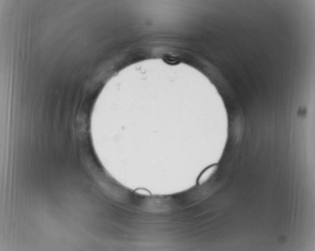 X0000111890571200909031907