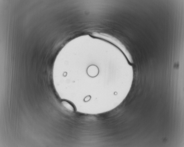 X0000111890572200909031907