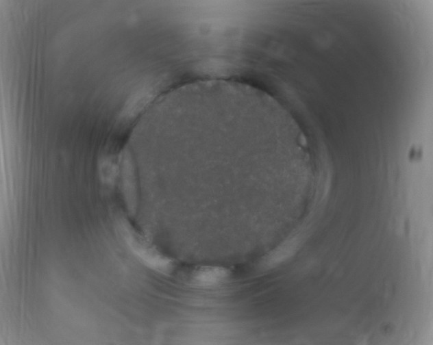 X0000111890576200909031907