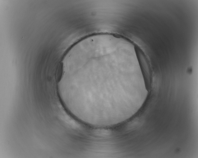 X0000111890577200909031907