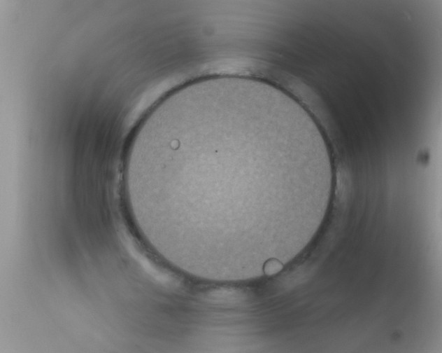 X0000111890578200909031907