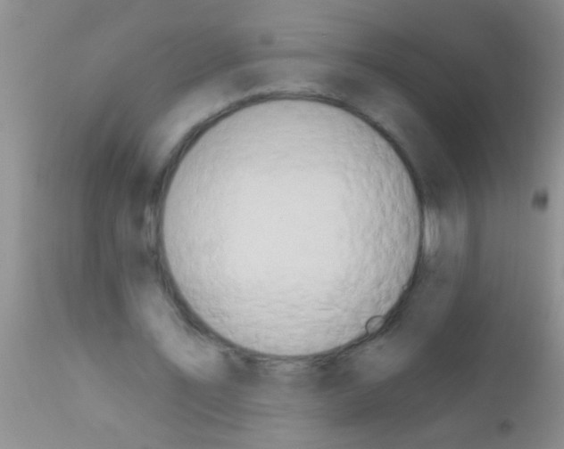 X0000111890579200909031907