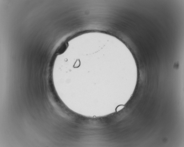 X0000111890580200909031907