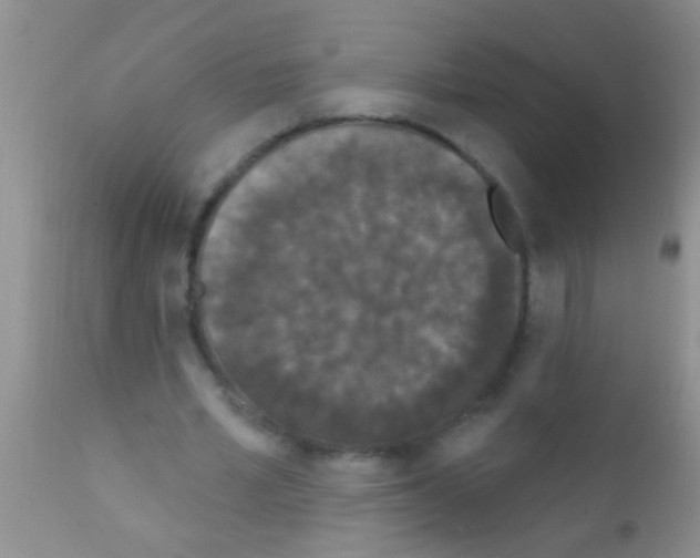 X0000111890581200909031907