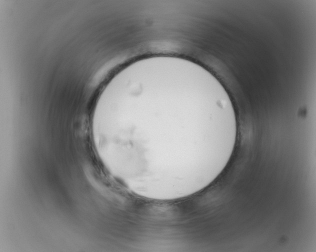 X0000111890583200909031907