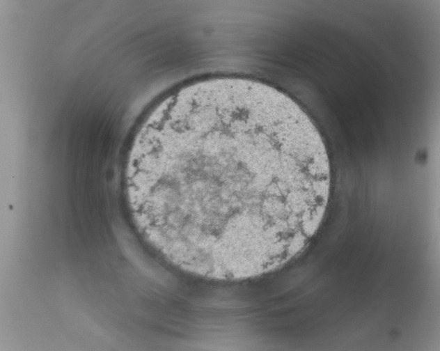 X0000111890584200909031907