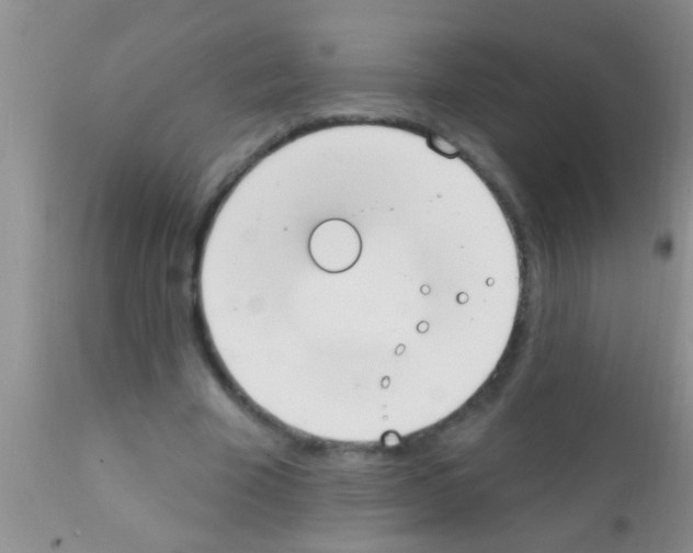 X0000111890585200909031907