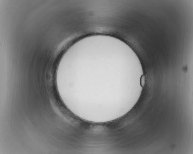 X0000111890587200909031907