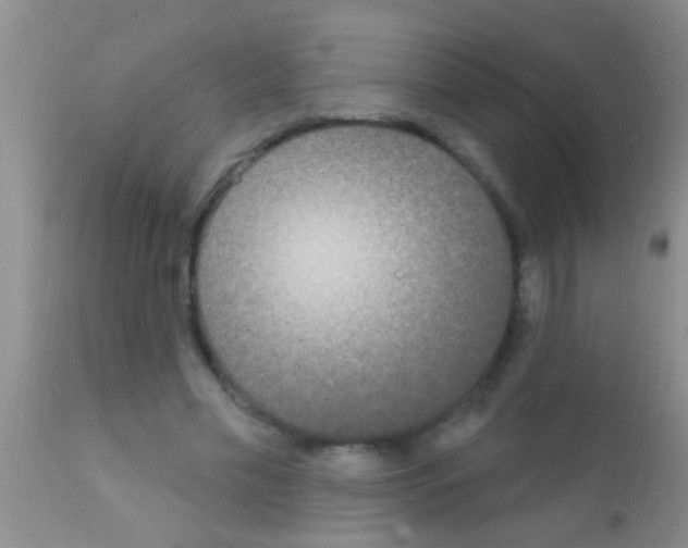 X0000111890589200909031907