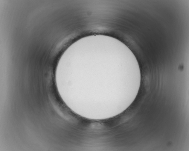 X0000111890591200909031907