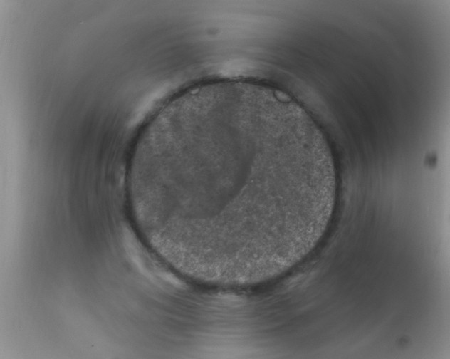 X0000111890592200909031906