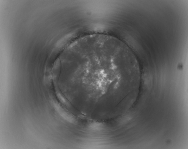 X0000111890593200909031906