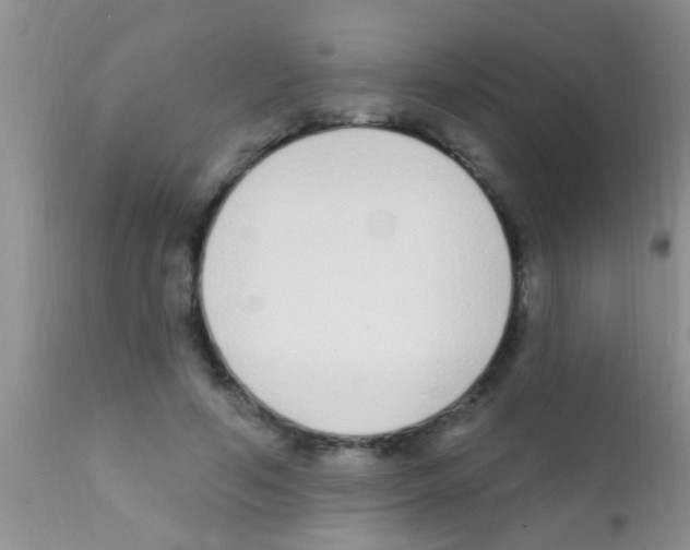 X0000111890594200909031906