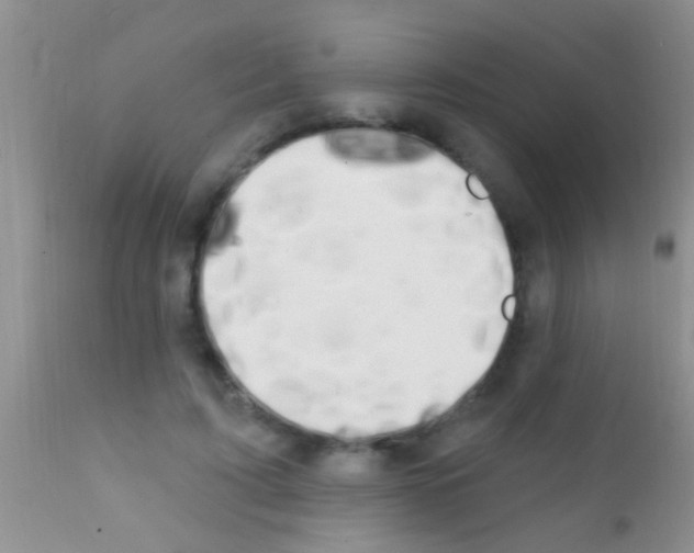 X0000111890595200909031906