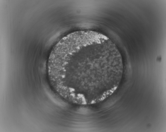 X0000111890596200909031906