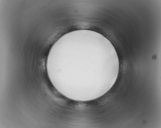 X0000111890598200909031906