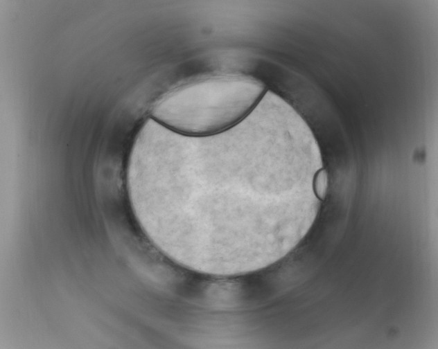 X0000111890599200909031906