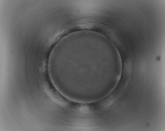 X0000111890600200909031906