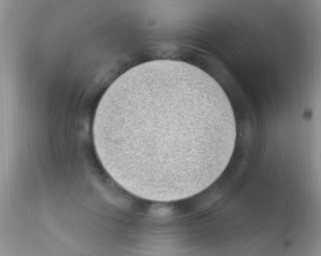 X0000111890602200909031906