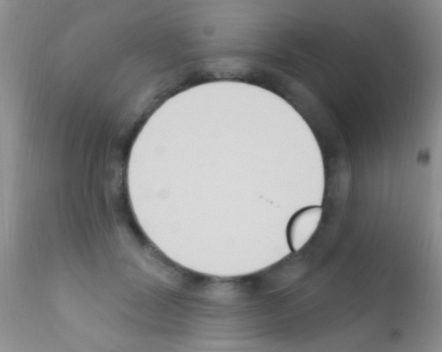 X0000111890604200909031906