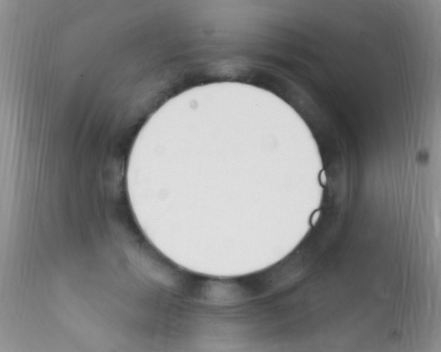 X0000111890605200909031906