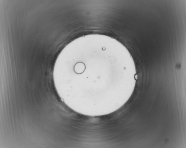 X0000111890609200909031906