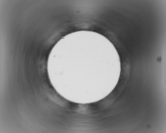 X0000111890612200909031906