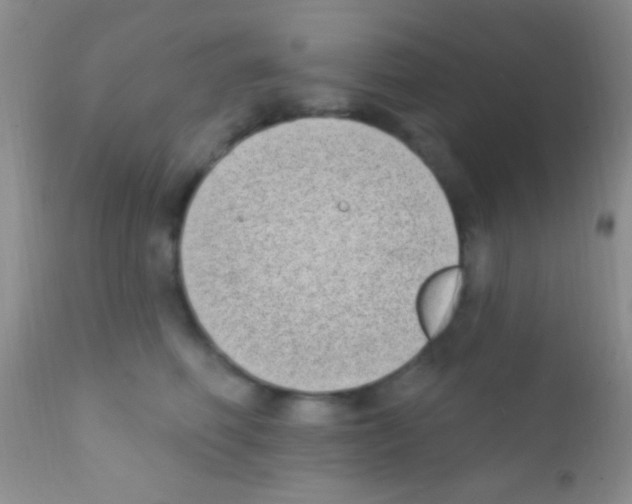 X0000111890614200909031906