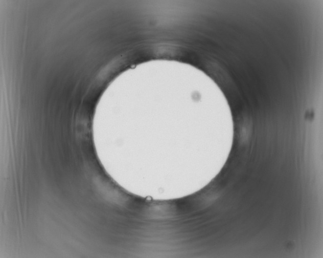 X0000111890619200909031906