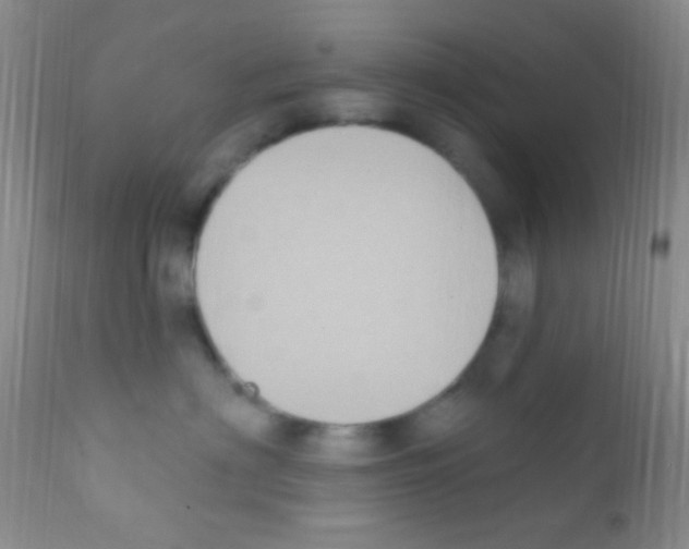 X0000111890622200909031906