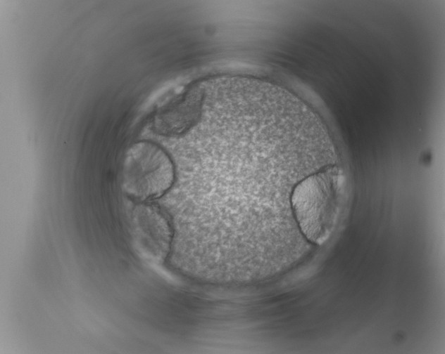 X0000111890625200909031905