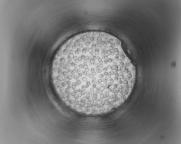 X0000111890626200909031905