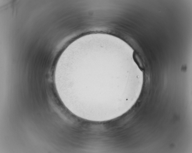 X0000111890628200909031905