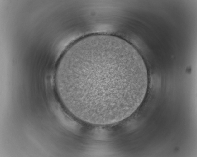 X0000111890632200909031905