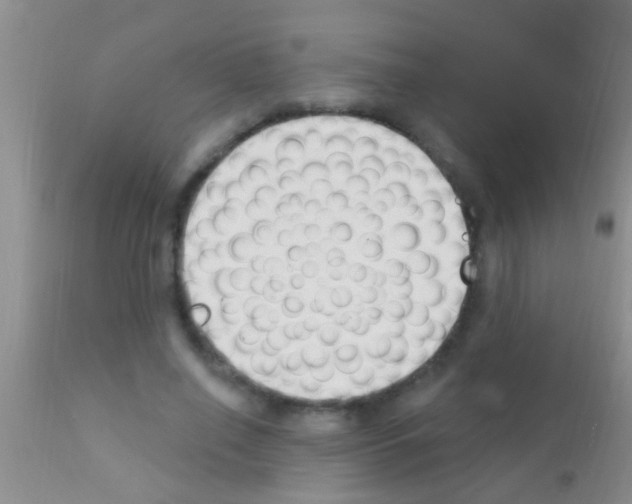 X0000111890638200909031905