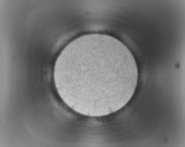 X0000111890640200909031905