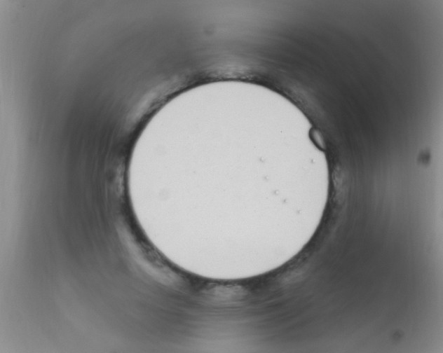 X0000111890642200909031905