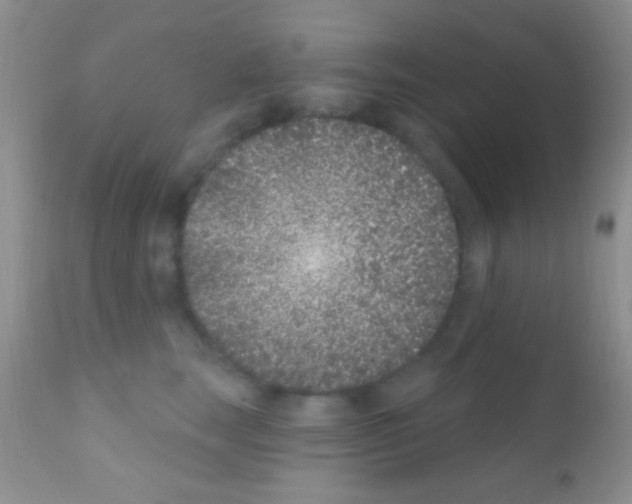 X0000111890663200909031906