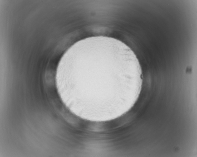 X0000111890671200909031906